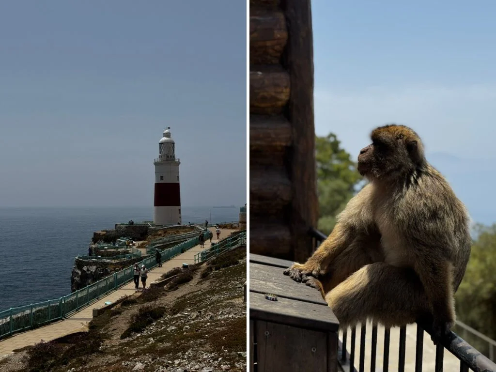 Gibraltar maják a opice